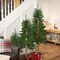 Northlight Pre-Lit Slim Alpine Artificial Christmas Trees - 5' - Multicolor Lights -Set of 3
